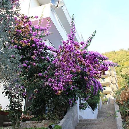 4M Apartments Petrovac 外观 照片