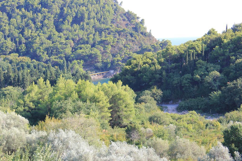 4M Apartments Petrovac 客房 照片